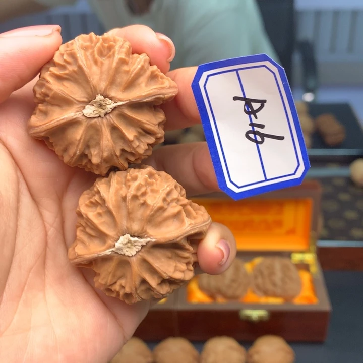 43+玉玺狮子头老树红皮