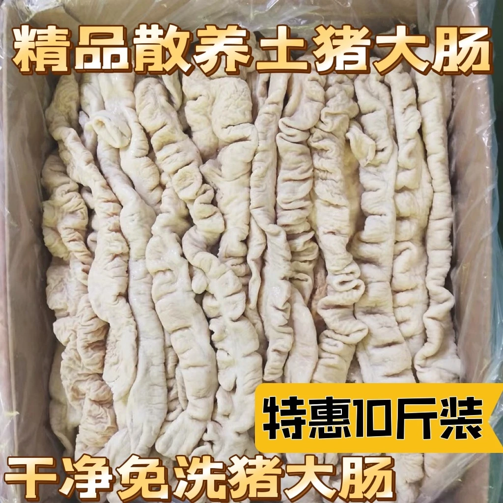 新鲜冷冻猪大肠半熟猪大肠猪肥肠大肠头大肠段1-20斤饭店卤味食材
