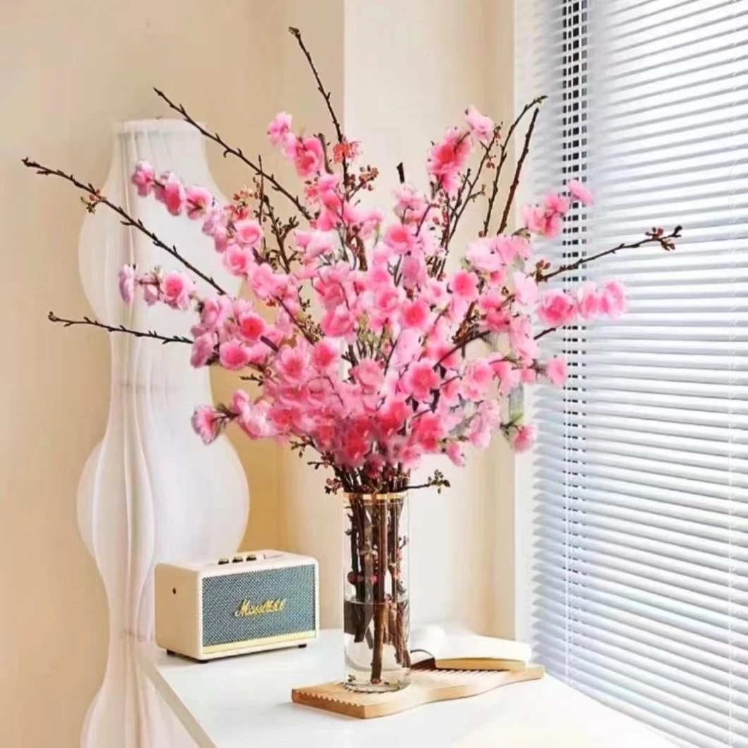 鲜枝红梅水培花卉耐寒冬季水养