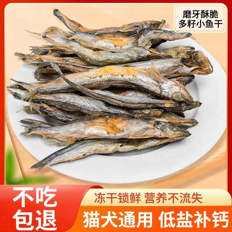 小鱼干猫猫零食宠物无盐猫咪冻干多春鱼营养新鲜健康平替好物
