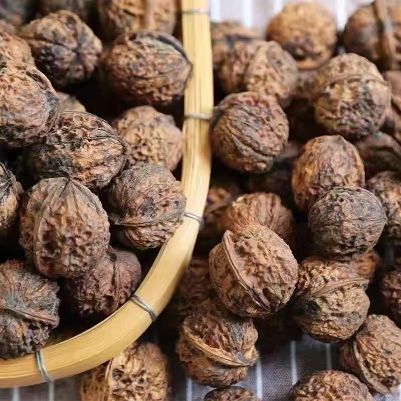 云南老树老品种山核桃