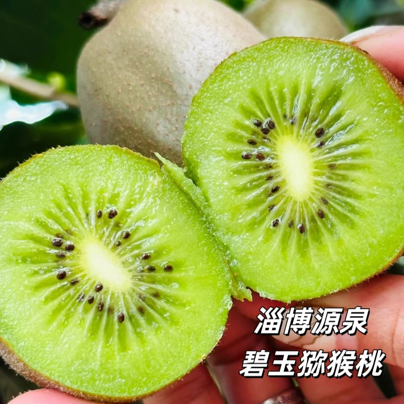 淄博博山源泉猕猴桃奇异果无毛新鲜水果软糯香甜多汁礼盒绿心包邮