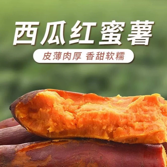 【四川自贡】本地西瓜红蜜薯肉质饱满新鲜现挖、5斤包邮