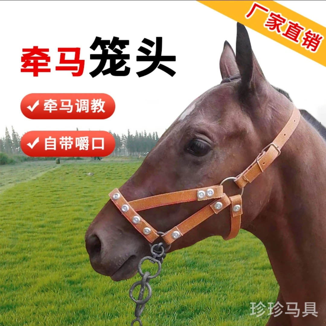 马笼头牵马笼头调教笼头可调节笼头马具耐用马嚼子马笼套