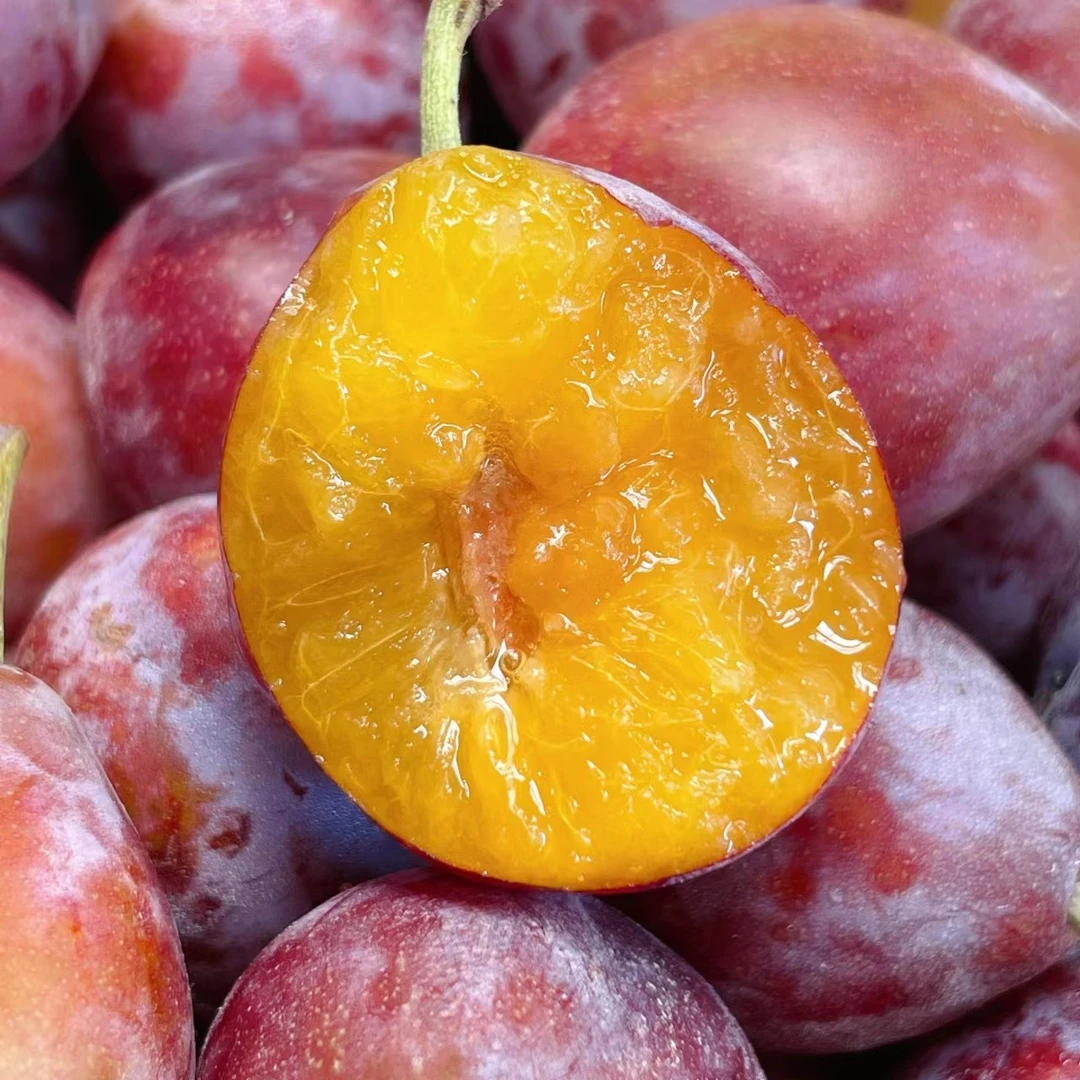 【高端-西梅】正宗新疆喀什法兰西西梅3斤装当季新鲜水果【全国顺丰】