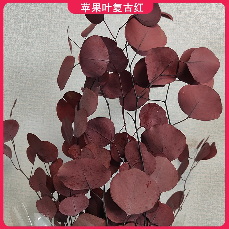 尤加利叶永生花苹果叶铜钱叶细叶花店采购批发手工花束配花花材