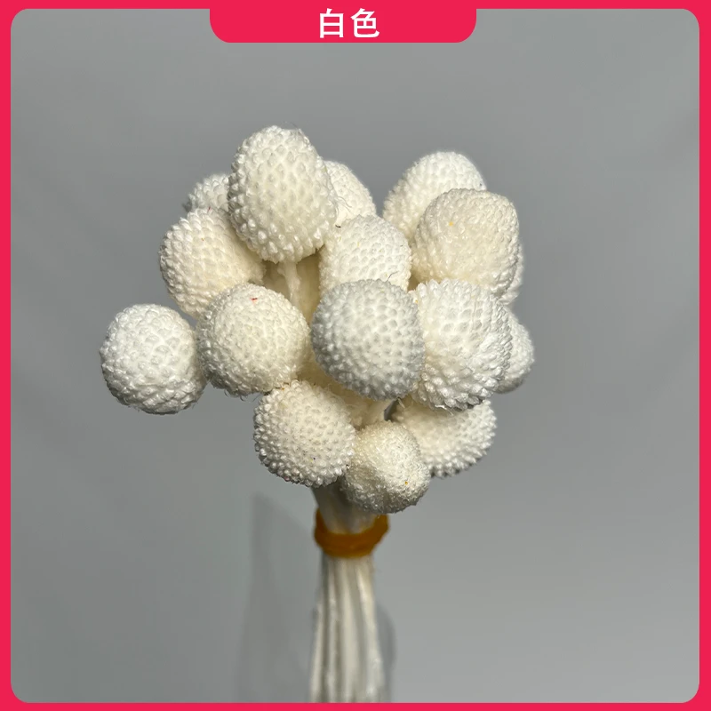 【永生小号黄金球】家居艺术瓶插花节日礼品花束花店干花采购批发