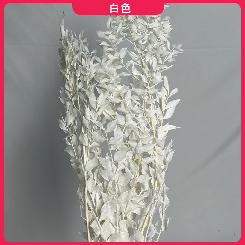 【进口富贵叶永生花】家居艺术瓶插花节日礼品花束花店干花采购批发