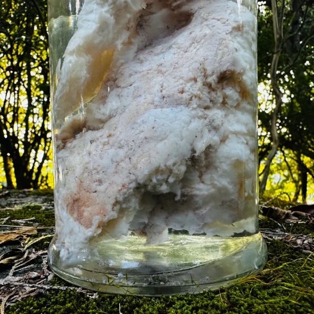 【土-特-产】石-太-岁 净含量50g-500g