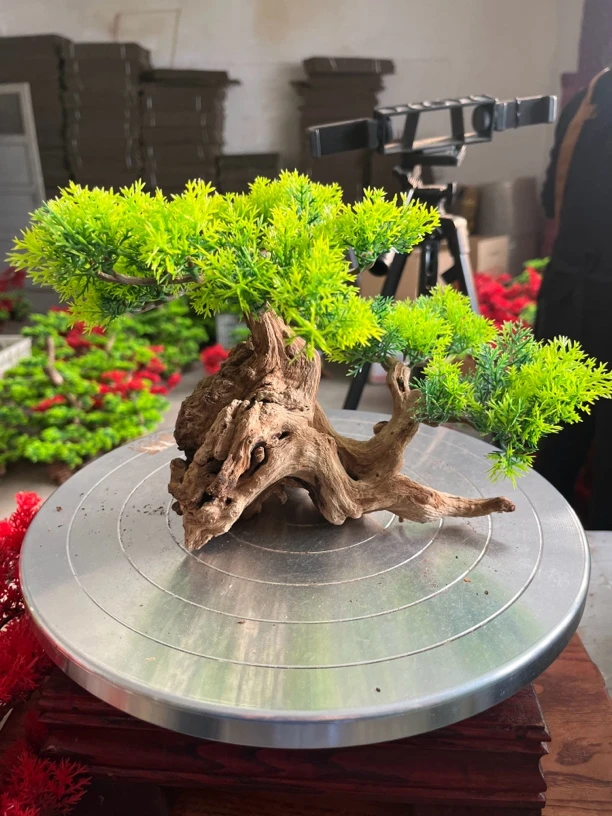 鱼缸造景实木原料摆件沉木（没有打磨）