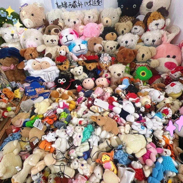 【直播选购】地地家中古毛绒玩具售出不退换，看好再拍！跑单小黑屋！