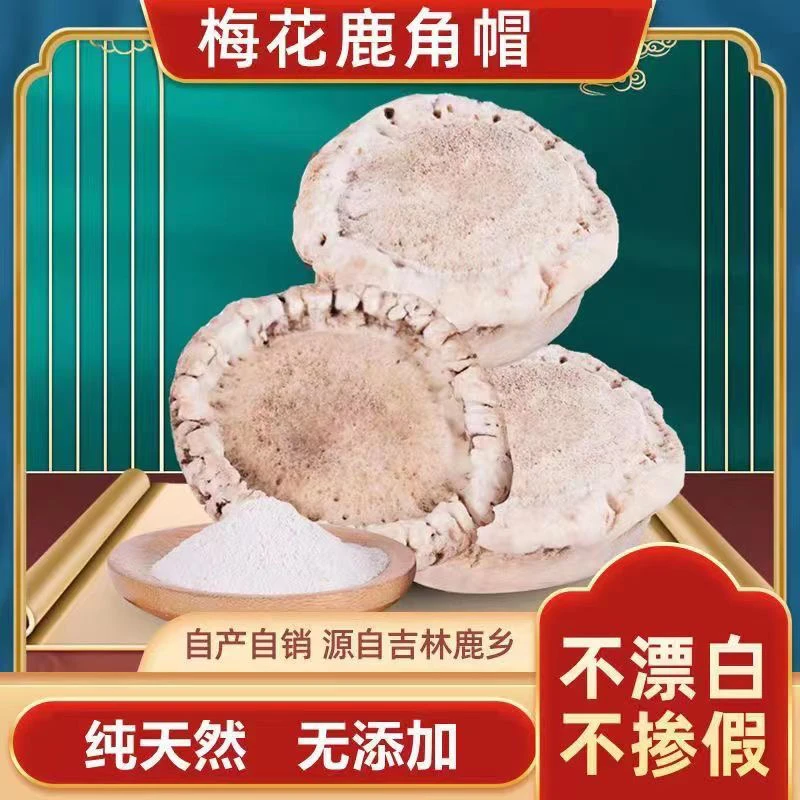 长白山梅花鹿鹿角帽 鹿乡直供现场收货（拍下即默认打粉）250g-500g
