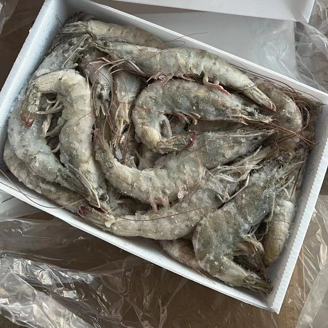 海虾鲜活海鲜大虾活虾对虾白虾基围虾20/30规格净重3斤冷冻鲜虾