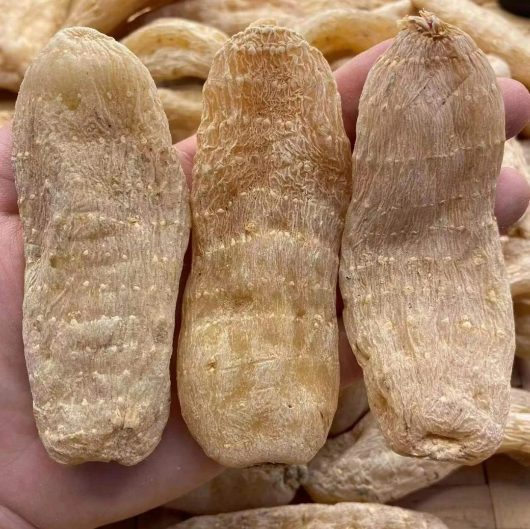 干天麻原产云南昭通小草坝天麻250-500克饱满优质纯干天麻煲汤