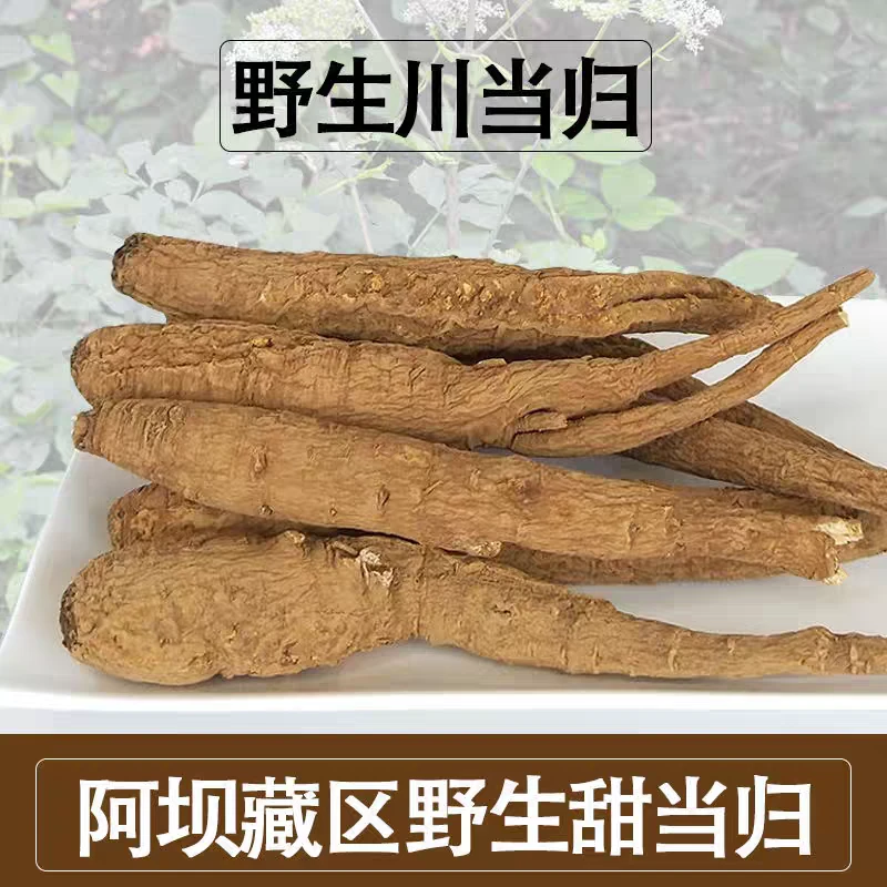 四川阿坝高原野生当归四川甜当归高原川当归整根独角野生当归干货