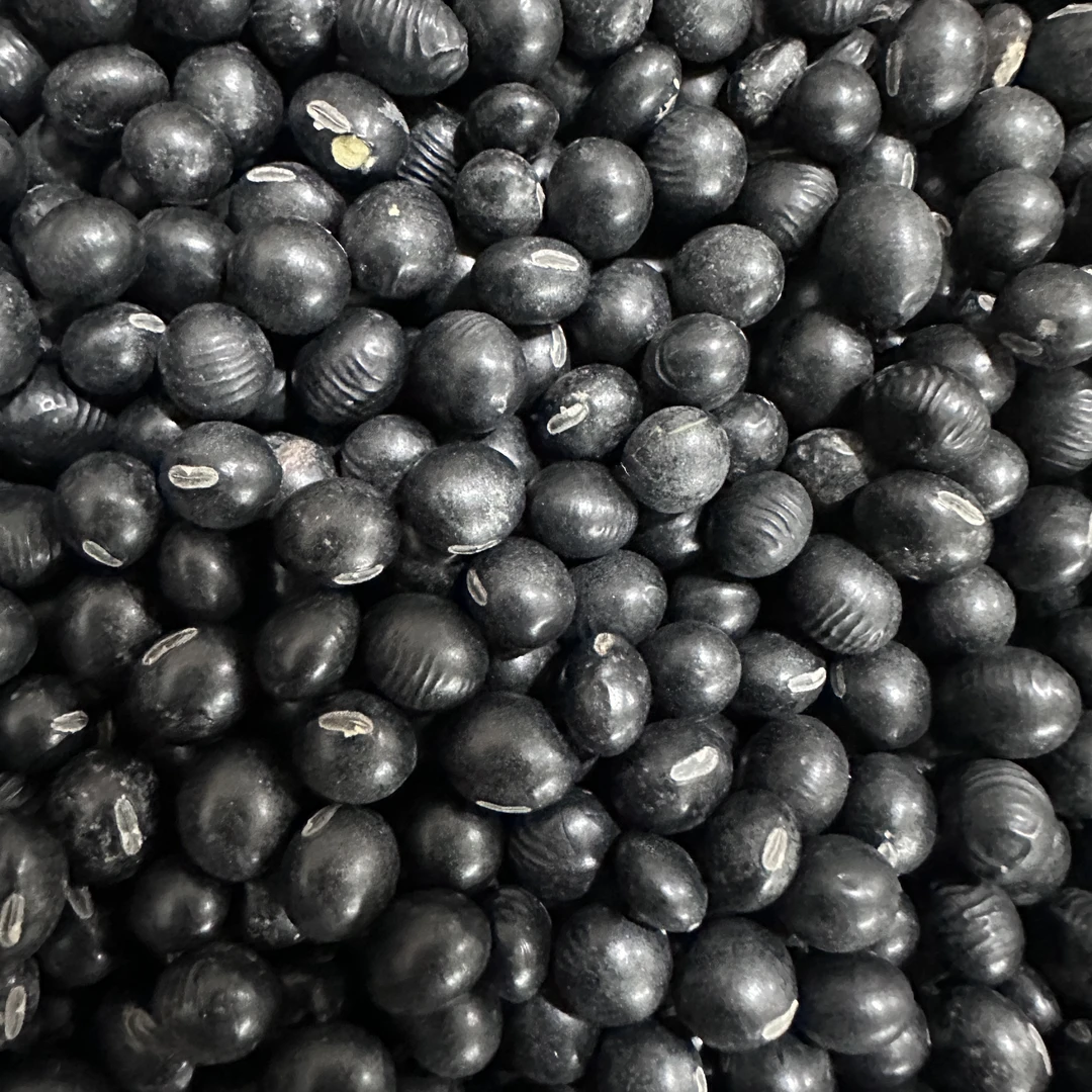 东海发货 黑豆    两斤