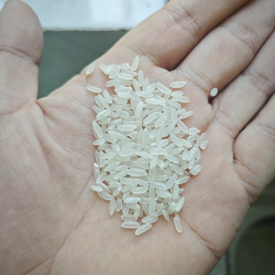 散装东海大米10斤  江浙沪皖之外分两个快递发