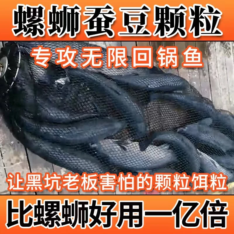 春夏季新品青鱼蚕豆颗粒鱼饵料黑坑专用窝料大物通杀皮筋挂钩颗粒