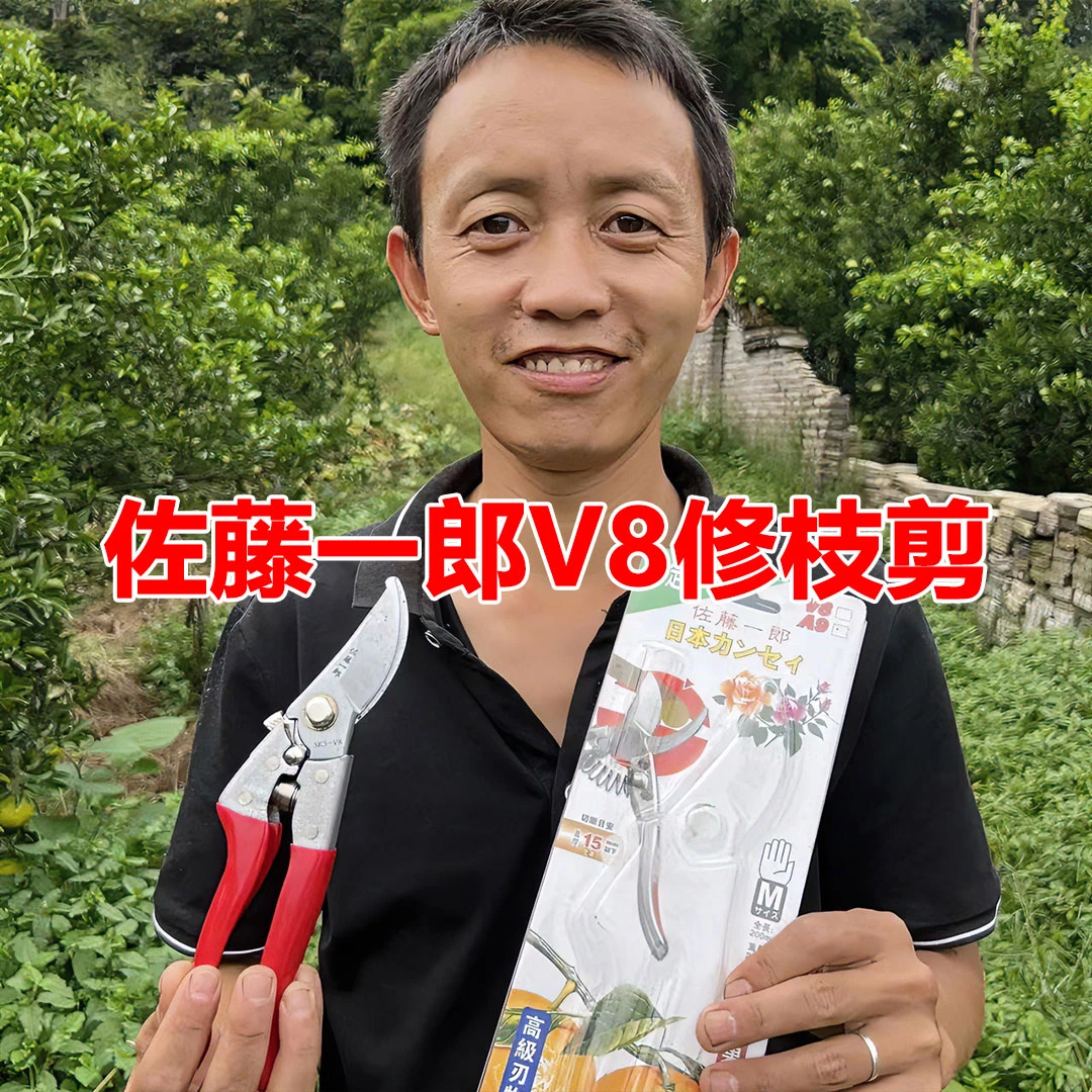 小李推荐 台湾正品佐藤一郞V8修枝剪剪刀家用剪子多功能手工修花