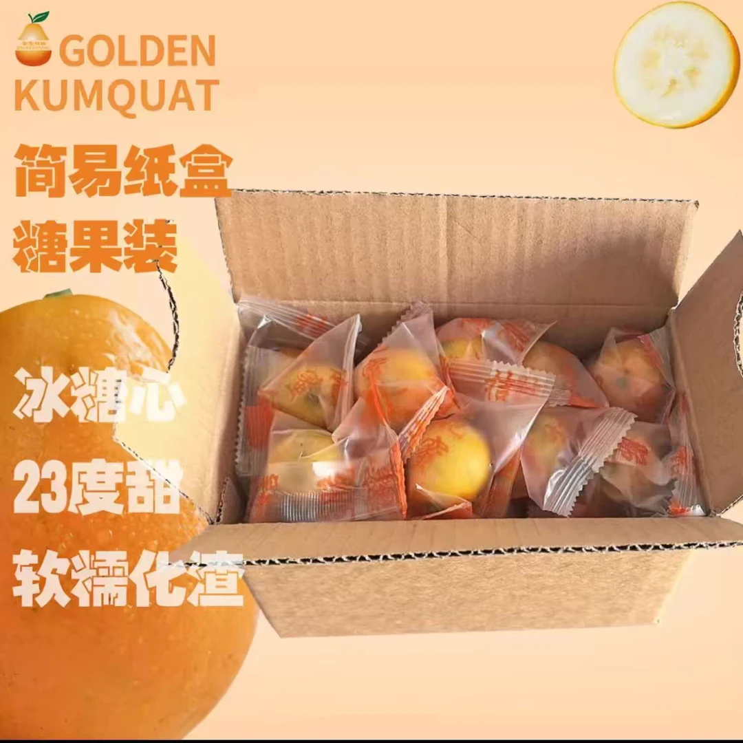 混合品尝装1斤(大果中果中大果小果)融安脆蜜金桔纯甜顺丰包邮