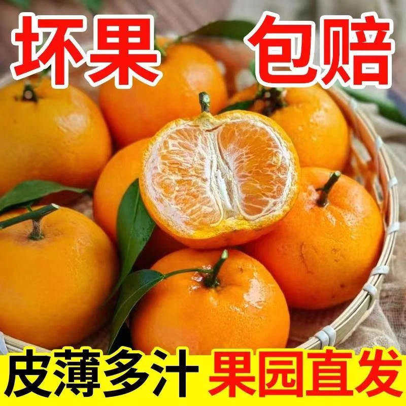 武鸣沃柑当季新鲜酸甜孕妇水果新鲜现摘柑橘早熟蜜桔橘子现货包邮