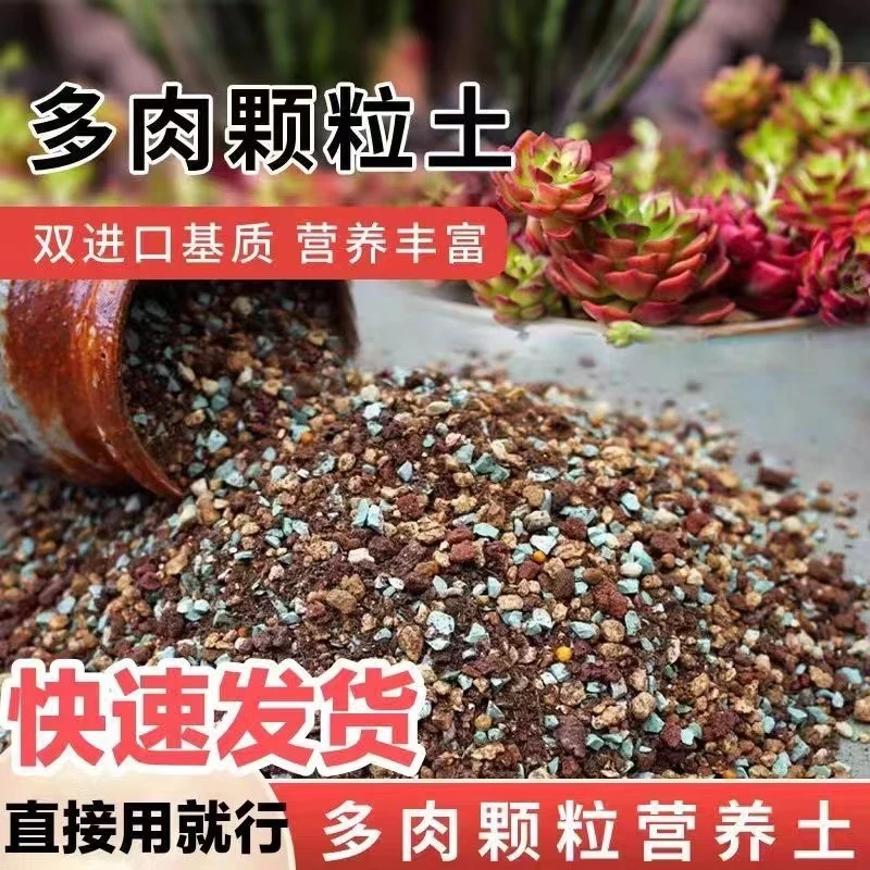 【9.9福利】买五斤送七斤-到手12斤70%多肉专用颗粒土