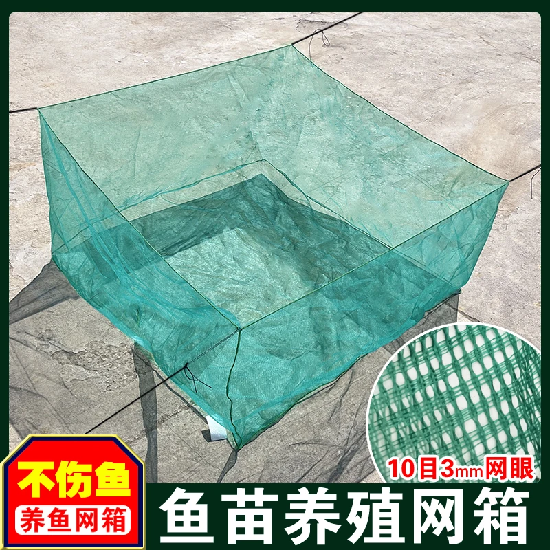养鱼网箱养殖网专用尼龙养箱鱼苗小渔网网袋网网兜黄鳝虾鳝鱼存鱼