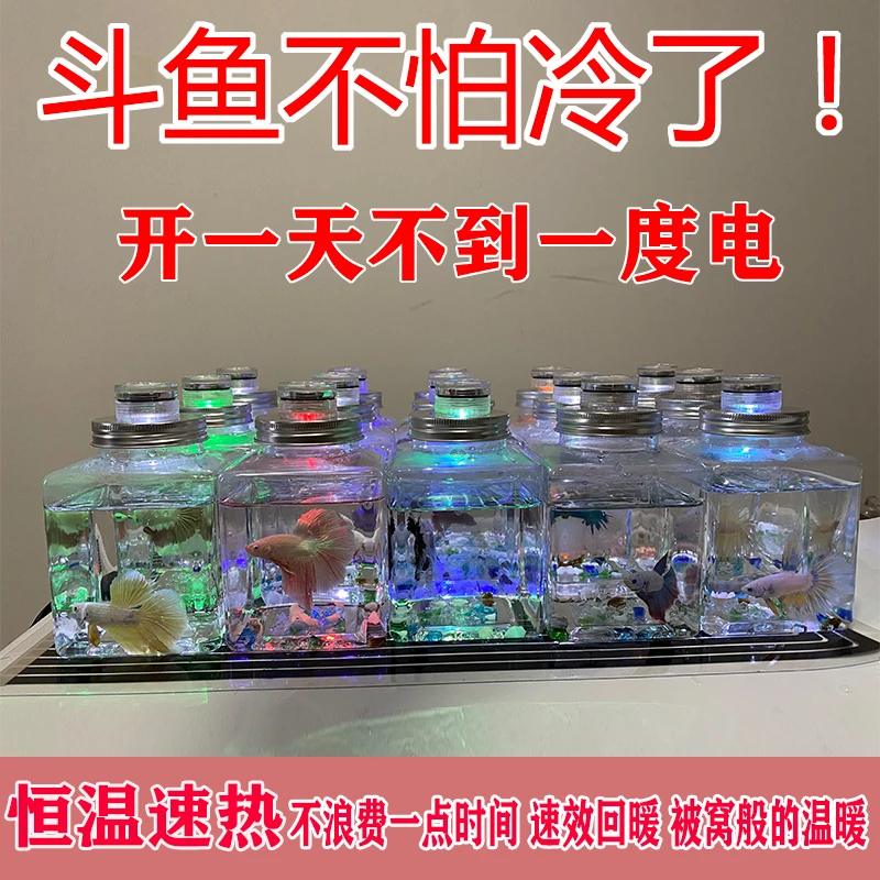 爬宠温控加热垫乌龟守宫蜘蛛寄居蟹斗鱼角蛙蜥蜴鸟蛇虫专用鱼乐宝