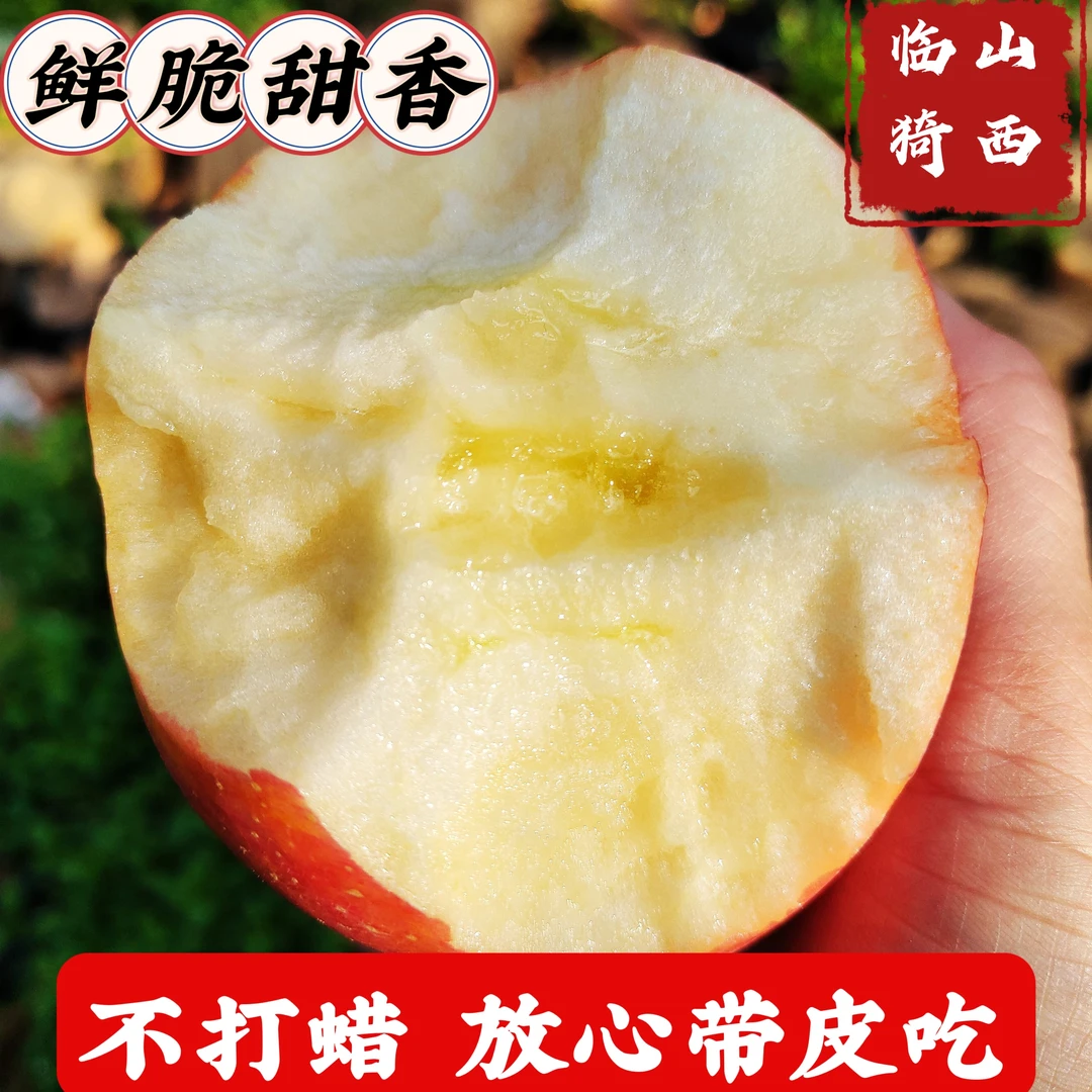 【农户直发】山西临猗红富士苹果冰糖心纸加膜当季新鲜脆甜果园直发