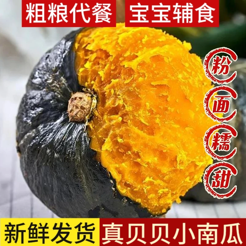 正宗贝贝南瓜板栗味山东潍坊干面粉糯孕妇宝宝辅食 代餐