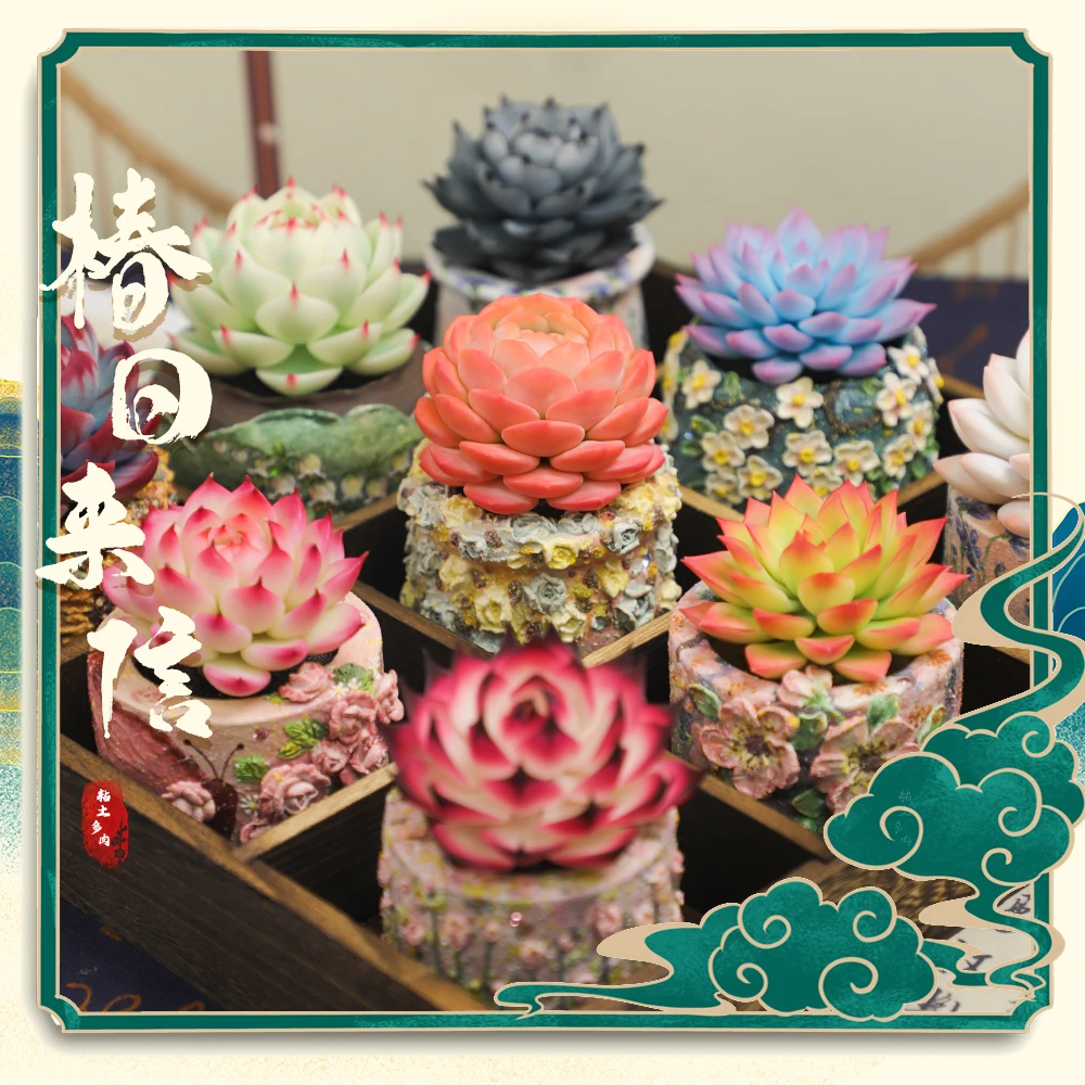 【椿日来信】成品粘土多肉产品直播间编号一物一拍