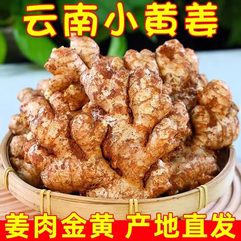（现挖）云南小黄姜老姜正宗精品新鲜生姜辛辣浓郁包邮有坏包赔1