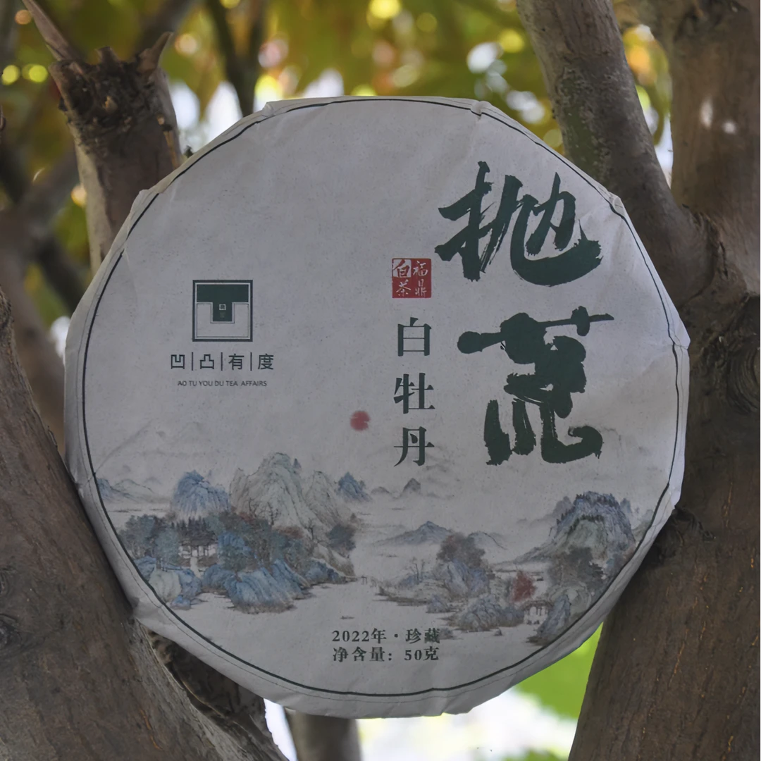 2022年管阳高山抛荒白牡丹（50gx4饼）茶韵足花香显