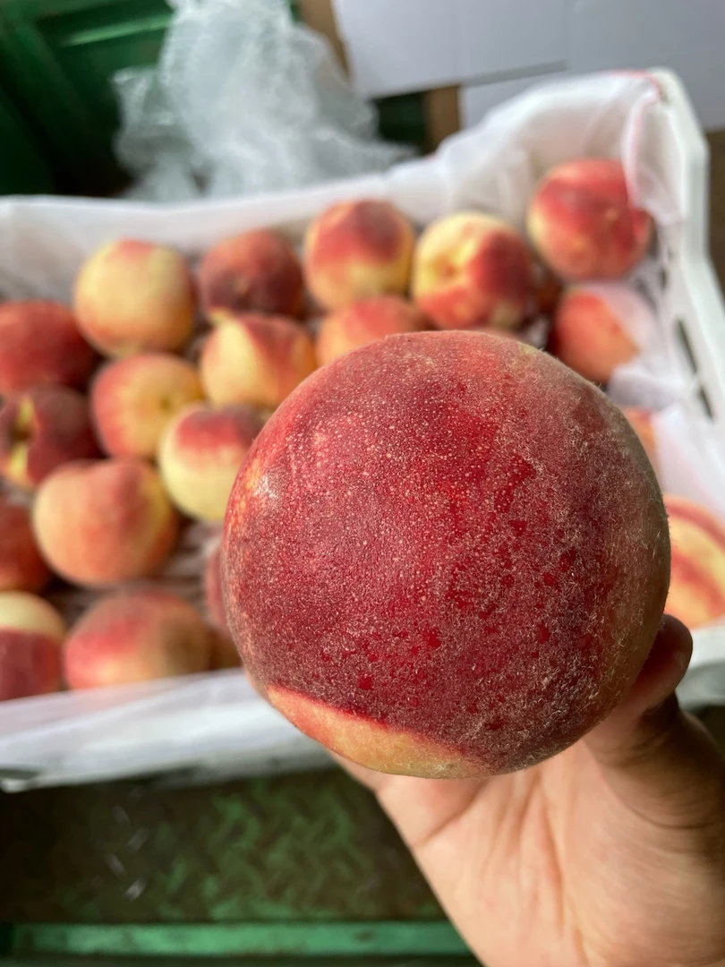 金秋红蜜/红桃/水蜜桃·映霜红 应季水果 新鲜桃子 现摘现发