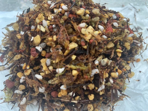 兰花专用盆面土促根促芽1斤约5盆左右