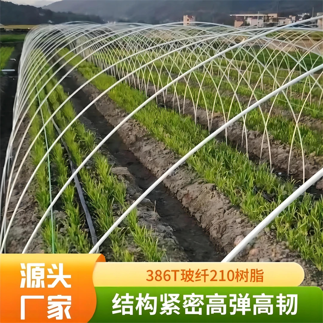 拱棚支架大棚骨架拱杆玻璃纤维小拱条菜棚家农拱形蔬菜暖温室架子