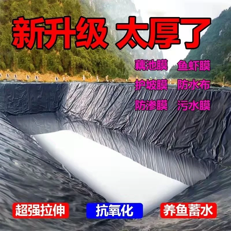 进口料鱼塘膜土工膜护坡防漏膜专用塑料布防水布蓄水池藕池防渗膜