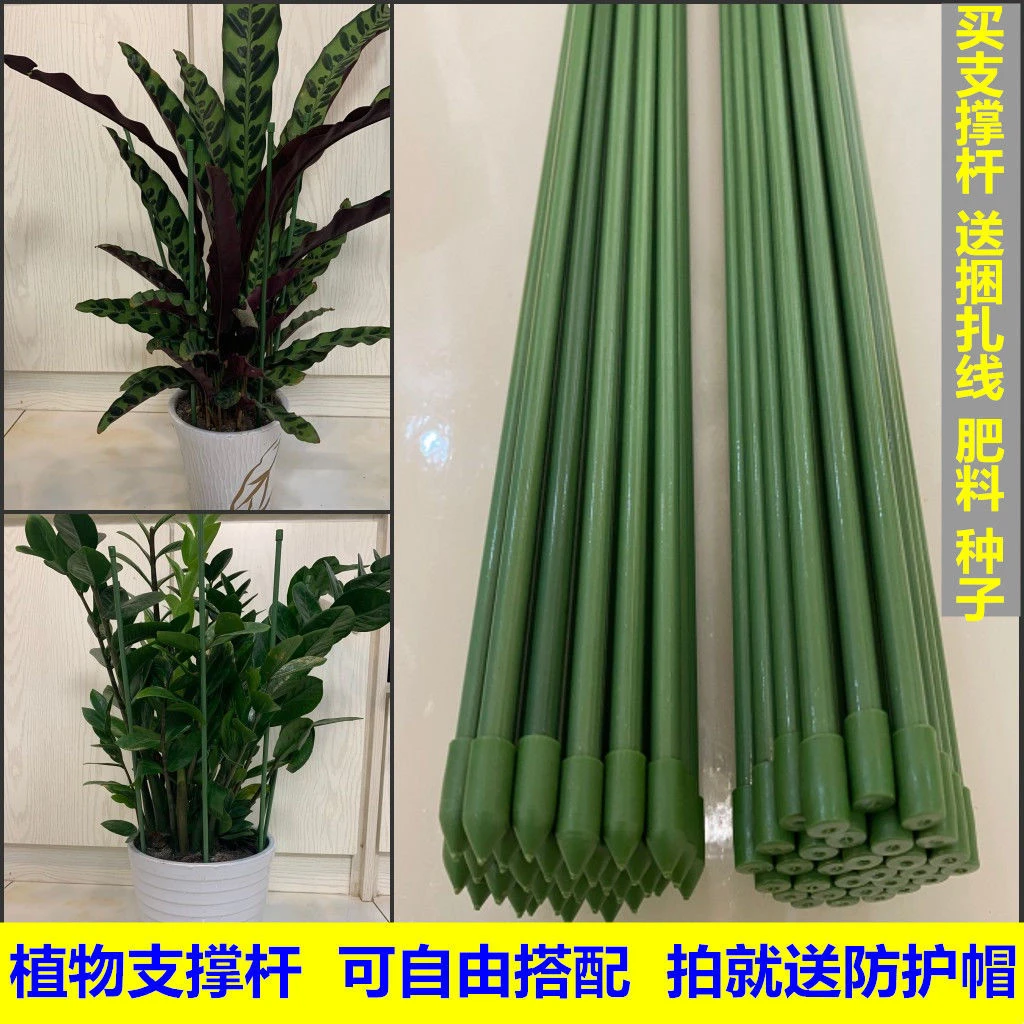 爬藤支架搭架固定植物支撑杆室内花藤花架支杆支柱月季番茄爬藤架