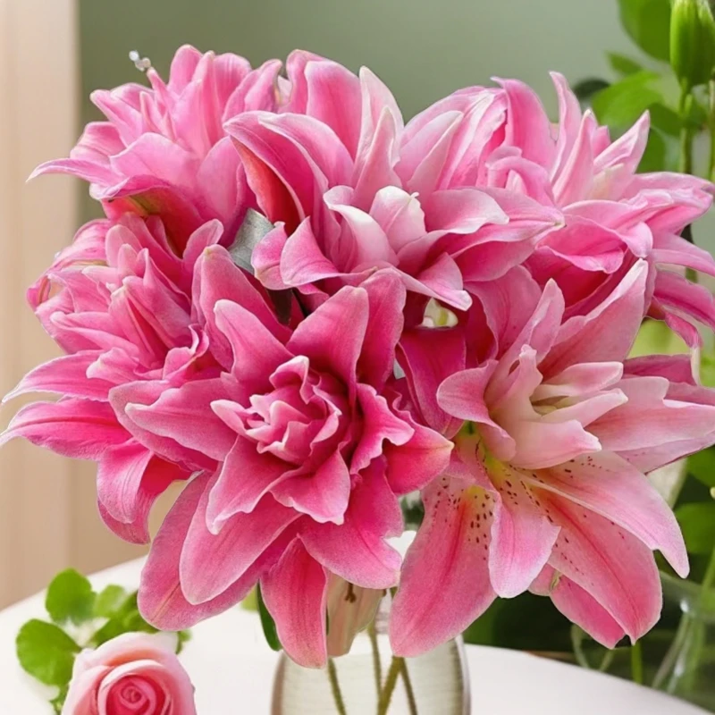 【重瓣】香水百合【任意2单顺丰冷链包邮 鲜花20%不售后】