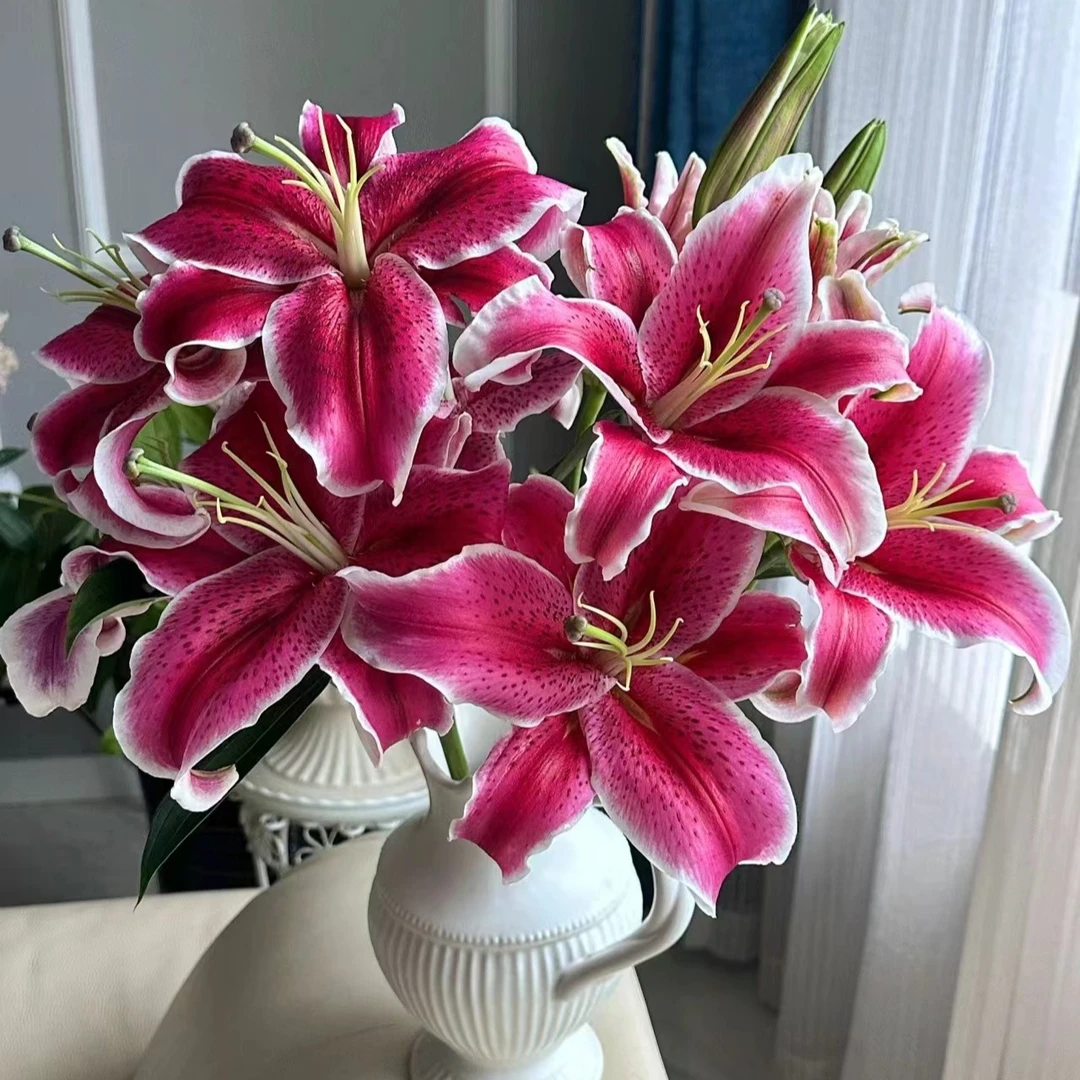 【红色】黑美人香水百合【同地址任意两单顺丰包邮，鲜花20%不售后】