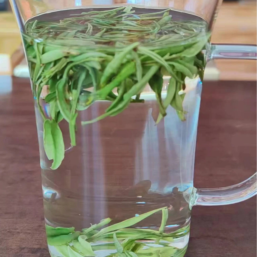 特价处理绿茶安吉春茶嫩芽250g