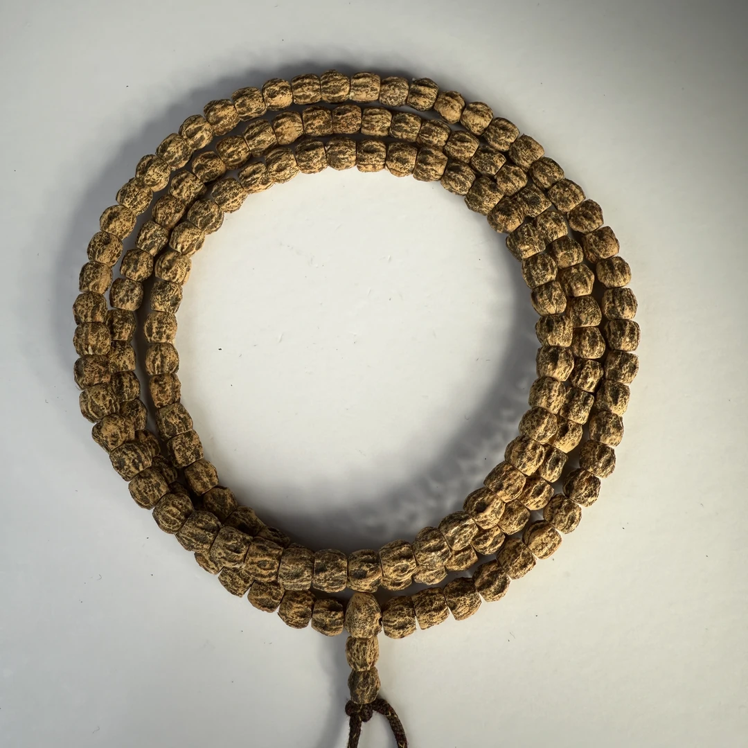 热振一哥《狂。脏狮》定制级百香籽