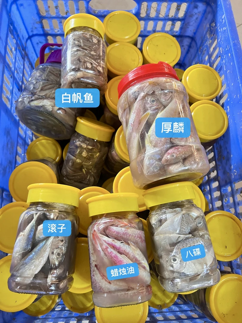 北海船上生淹的水鱼，青鳞鱼，白帆鱼，蜡烛油，咸虾，下单备注哦