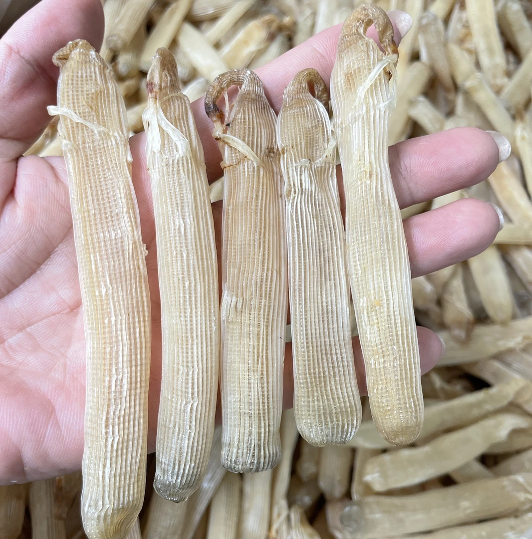 北海村民自己挖的中沙虫干，煲汤，煲粥480条左右一斤