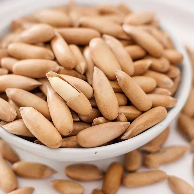 2025年A+级巴西松子新炒制罐装新炒营养美味好吃净含量