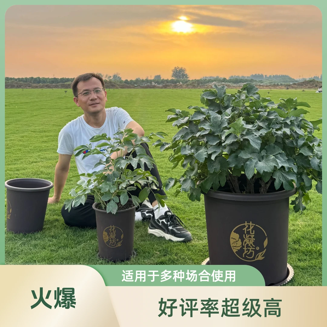 花凝坊【花卉控根盆】洛阳牡丹花会推荐 国风系列檀棕花盆 附带盆托