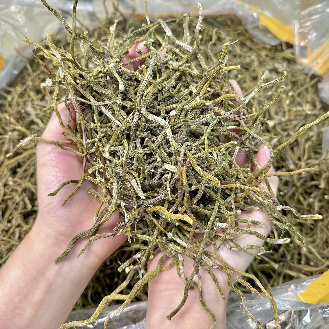 石斛 铁皮石斛干条芽条 热风烘干铁皮石斛芽条烤干条