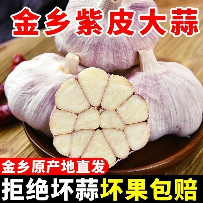 【坏果包赔】金乡正宗新干大蒜大蒜头紫皮新鲜蒜干蒜农家蒜批发山