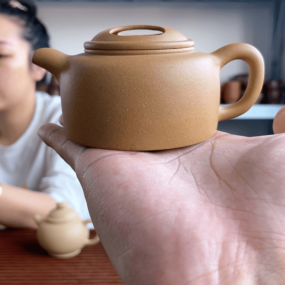 紫砂茶杯琦*扬今天晚上
