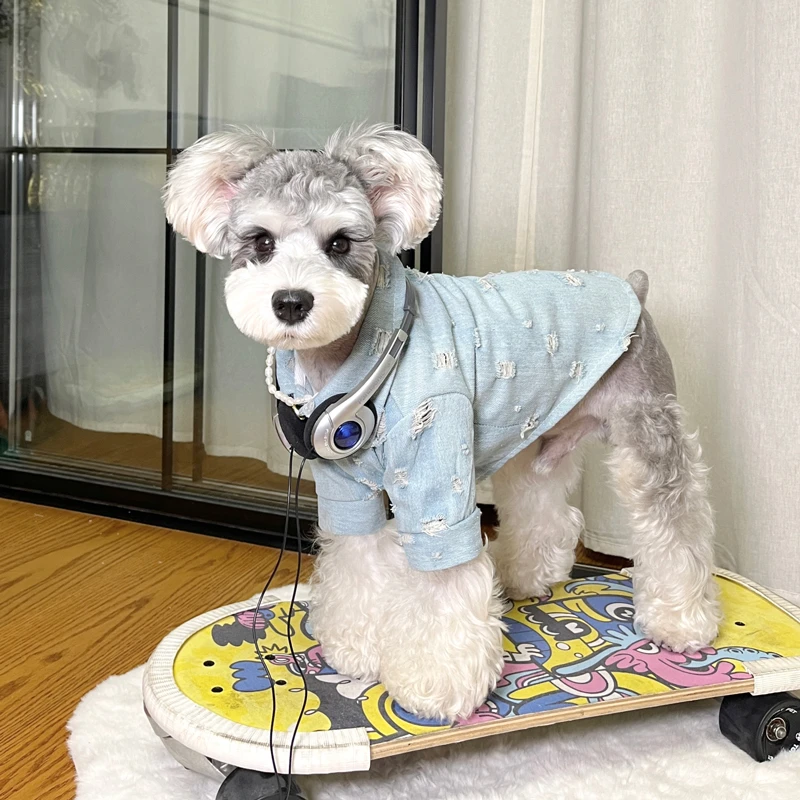 狗狗衣服初秋薄款潮牌雪纳瑞泰迪博美衣服宠物小狗牛仔外套春秋款